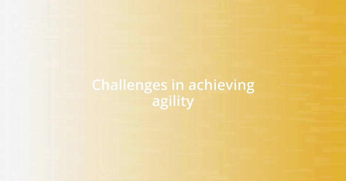 Challenges in achieving agility